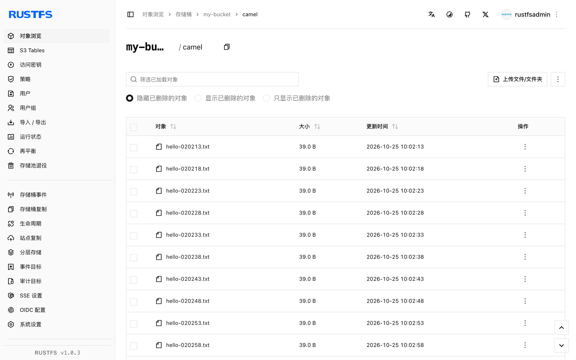 RustFS 控制台中的 Apache Camel 路由对象