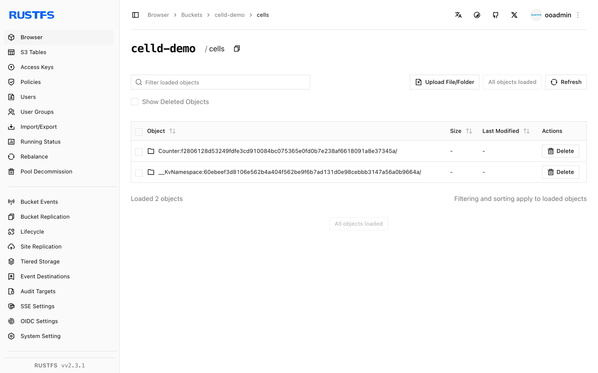 celld state stored in the RustFS Console