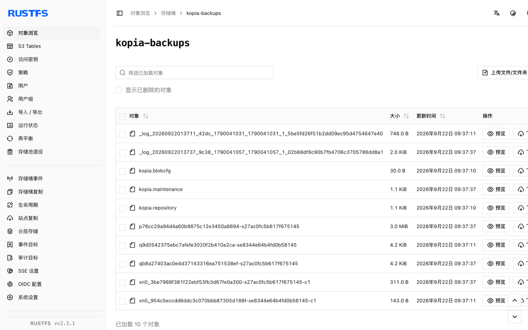 RustFS 控制台中存储的 Kopia 仓库块
